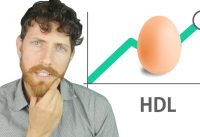 The Big HDL Myth: Good Cholesterol Examined