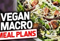 Introducing the 6 Week Shred Vegan Meal Plan- Gauge Girl Training