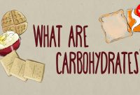 How do carbohydrates impact your health? – Richard J. Wood