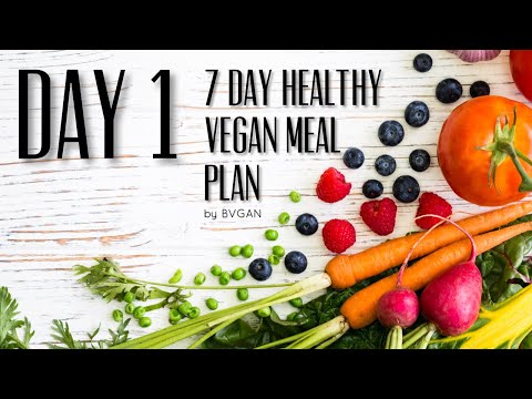 7 DAY HEALTHY VEGAN MEAL PLAN  - DAY 1 | Vegan Michele
