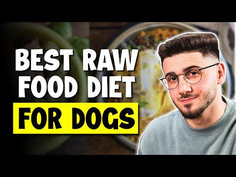 Best Raw Food Diet For Dogs | Undeniable Truths 