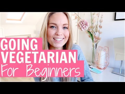 GOING VEGETARIAN: TIPS FOR BEGINNERS - HIDDEN INGREDIENTS? IS IT HEALTHY? EATING OUT?  |