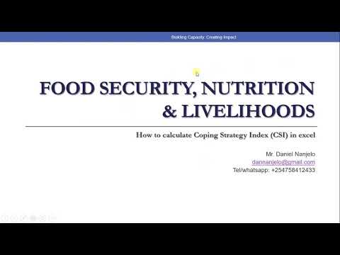 How to calculate Food Security Indicators using Excel   Coping Strategy Index CSI