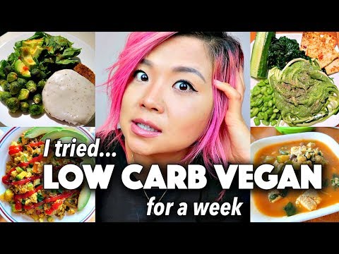 LOW CARB VEGAN diet // Final Thoughts & What I Ate in a Week (days 5-7)