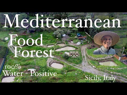 Mediterranean Permaculture Food Forest - John Kaisner The Natural Farmer