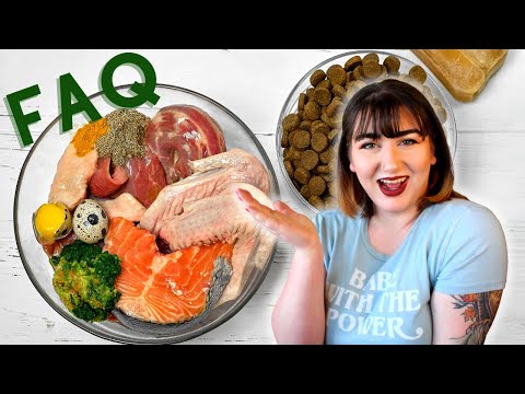 Pet Nutritionist Answers Raw Food Frequently Asked Questions | Raw Pet Food FAQ