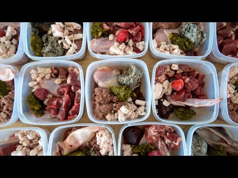Raw Diet Meal Prep Timelapse for a Staffy