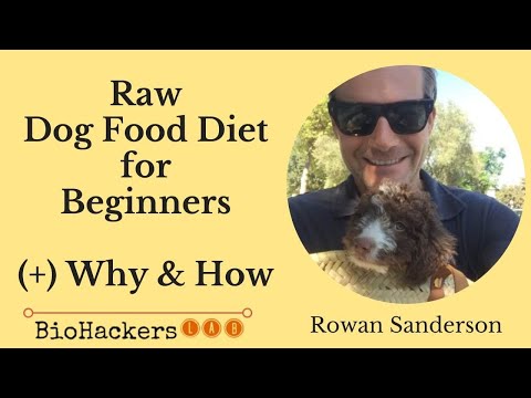 Raw Dog Food Diet for Beginners (Benefits & How to Tips) • Rowan Sanderson