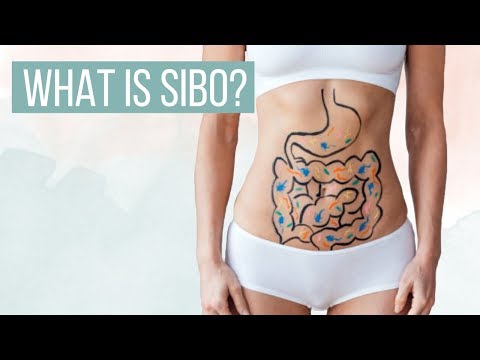 THE TRUTH: SIBO And A Vegan Diet | LIVEKINDLY