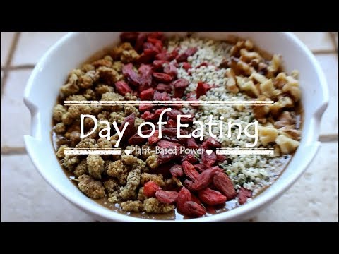 What I eat in a Day on a 90% Raw Vegan Diet!