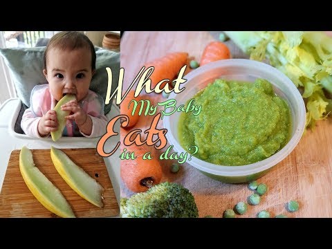 What my VEGAN 8 MONTHS OLD Baby Eats in a day ? [ BLW ]